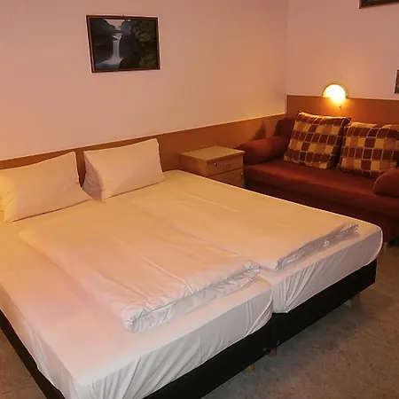 호텔 Haus Franziskus Mariazell 3*