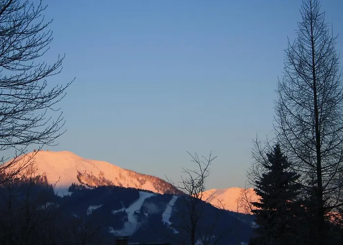 Hotel Haus Franziskus Mariazell 3*